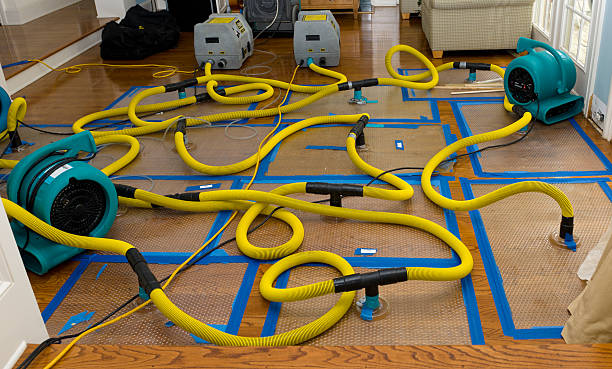 Professional Burst Pipe Water Damage technician working in Epping, NH